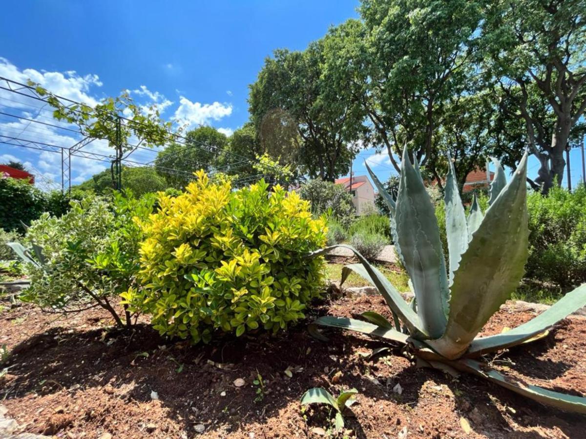 זאדאר Lemon Tree Apartments מראה חיצוני תמונה