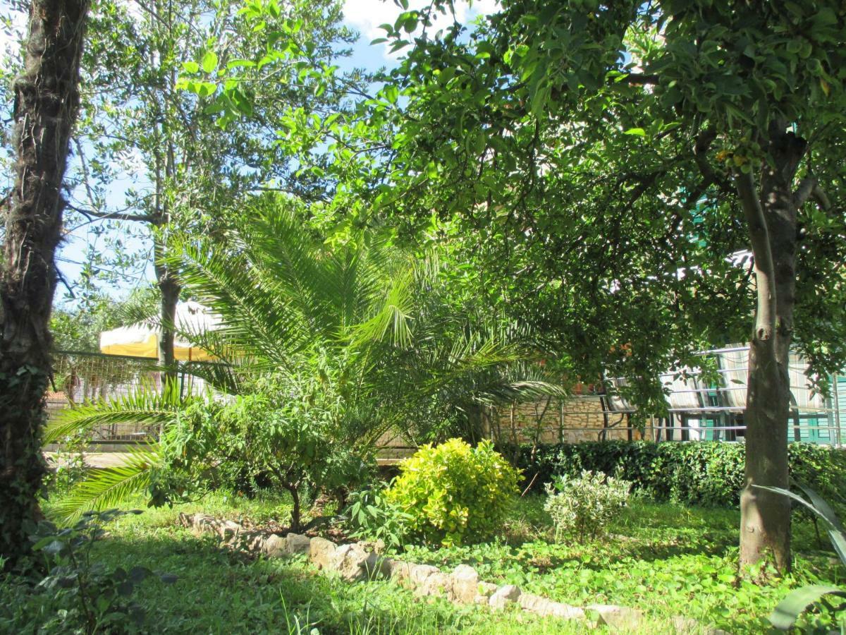 זאדאר Lemon Tree Apartments מראה חיצוני תמונה